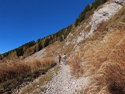 15 Su stradetta agrosilvopastorale in decisa salita
